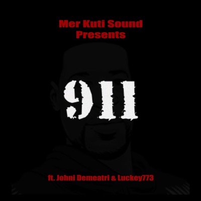 911 (feat. Johni Demeatri & Luckey773) - Single
