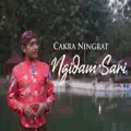 Nyidham Sari