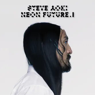 Rage the Night Away (feat. Waka Flocka Flame) by Steve Aoki song reviws