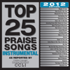 Maranatha! Instrumental - Top 25 Praise Songs Instrumental - 2012 Edition  artwork