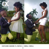 Small Small (feat. MzVee) artwork