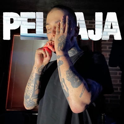 PELAAJA - Single
