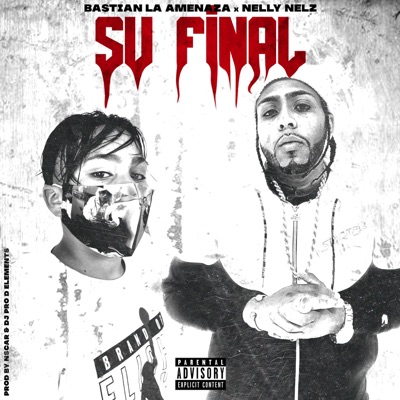 Su Final (feat. Nelly Nelz) - Single