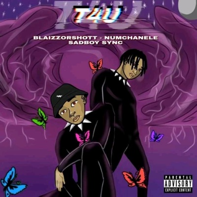 T4U (feat. Blaizzorshott-numcha'nale) - Single
