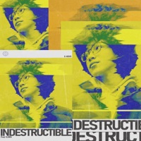Indestructible - Single - E-Kove