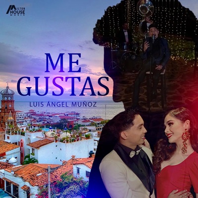 Me gustas - Single