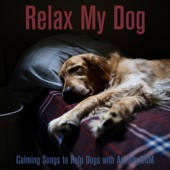 Relax My Dog: Calming Songs to Help Dogs with Anxiety BGM artwork