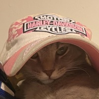 Money Talk (feat. lil Tracy) - Single - Corey Slabs