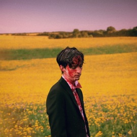 Falling In Love LEVI