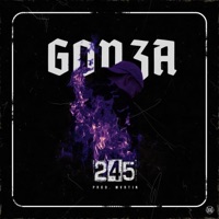 245 - Single - Gonza