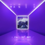 Fall Out Boy - The Last of the Real Ones