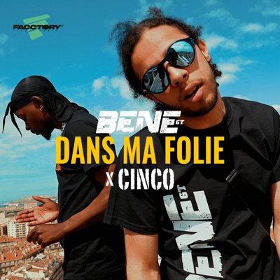 DANS MA FOLIE (feat. CINCO) - Single
