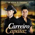 DOUTOR E O CAIPIRA