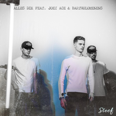 Alles Dik (feat. Joey Ace & Bartholomenens) - Single