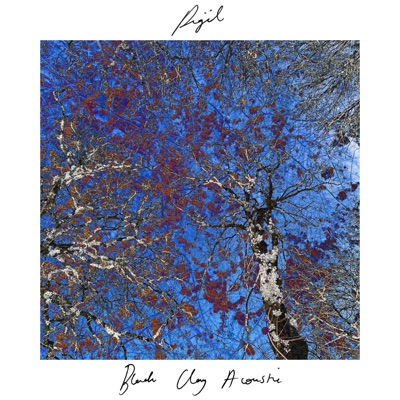 Black Clay (Acoustic) [Acoustic] - Single