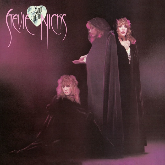 洋楽 STEVIE NICKS / THE SOUNDSTAGE SESSIONS 71Tt7KdDAuL._UF1000,1000_QL80_.jpg