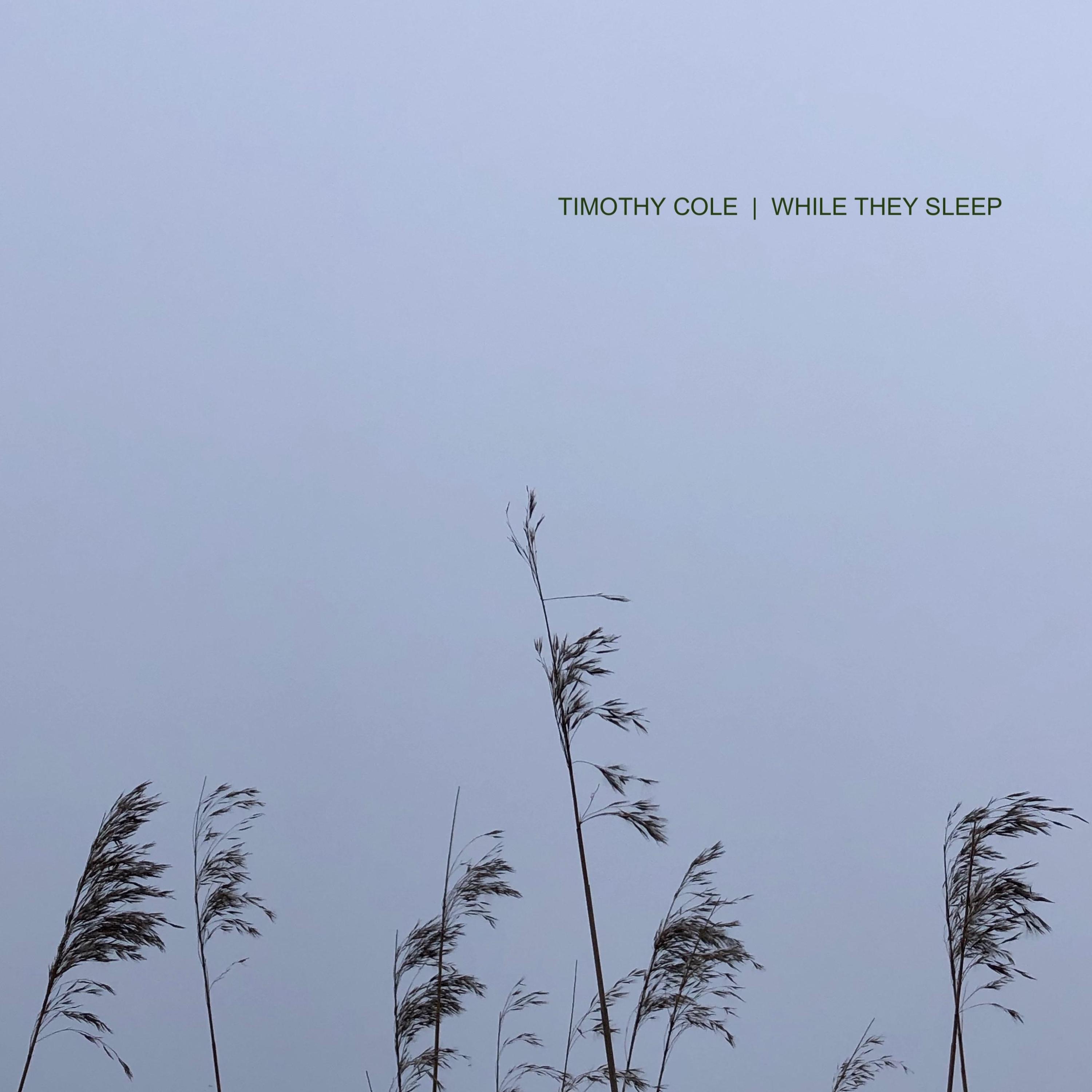 While They Sleep - EP