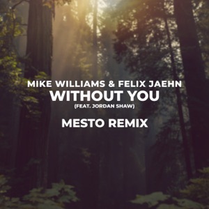 Without You (feat. Jordan Shaw) [Mesto Remix]
