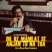 Dil Ke Mamlat Se Anjan Tu Na Tha artwork