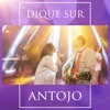 Antojo - Single