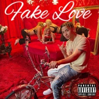 Fake Love - Single - Lindo