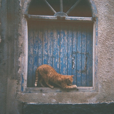 On a Warm Spring Night You Stunned Me (feat. Duendita) - Single