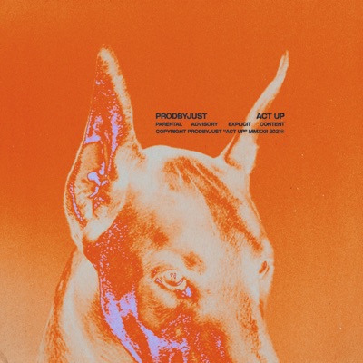 Act Up (feat. Stv3, Step C & RichNoize) - Single