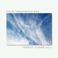 Forest Floor no1 - Single - CALM TRANSMISSIONS