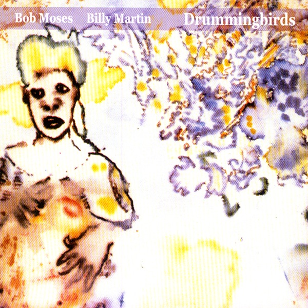 DrummingBirds - Bob Moses/Billy Martin