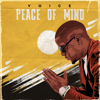 Peace of Mind - Voice