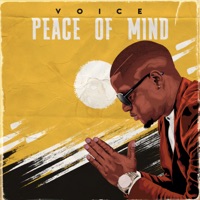 Peace of Mind - Single - Voice