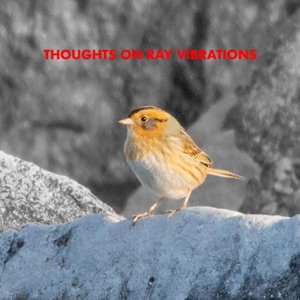 Thoughts on Ray Vibrations - Single