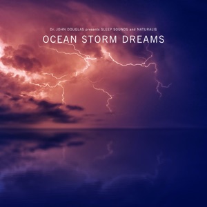 Ocean Storm Dreams