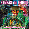 Sambas de Enredo das Escolas de Samba 2020 - Various Artists
