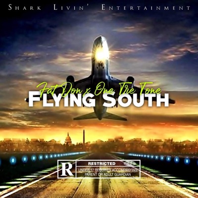 Flying South - Single
