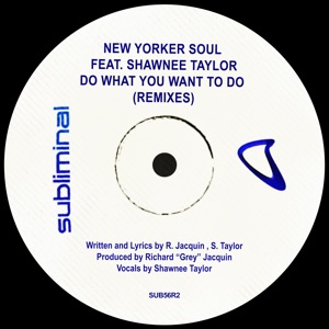 Do What You Want to Do (feat. Shawnee Taylor) [Remixes] - EP