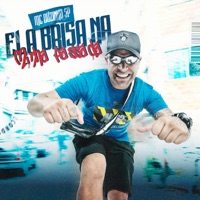 Ela Brisa na Minha Passada - Single - MC Duzinho SP