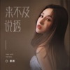 颜颜 - 来不及说透