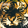 Survivor - Eye of the Tiger  arte