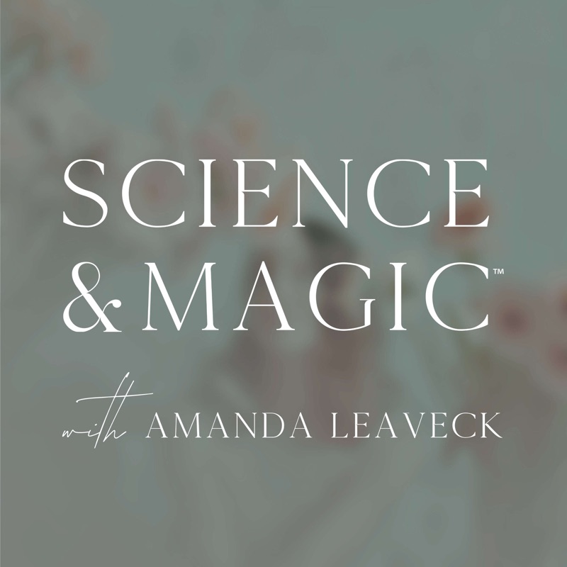 How Our Beliefs Influence Our Lives - Money, Energy, & Behavior w/ Jamila Taylor