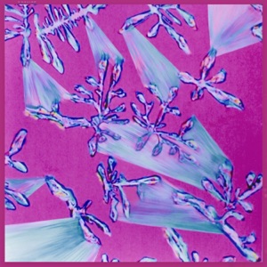 Tzonot - Single