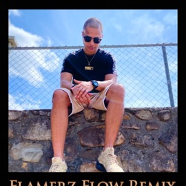 Flamerz Flow (REMIX) Z.P.O.