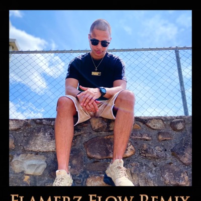 Flamerz Flow (Remix) [Remix] - Single