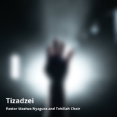 Tizadzei artwork