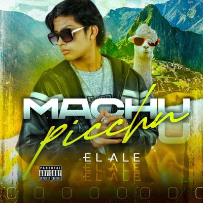 Machu Picchu - Single