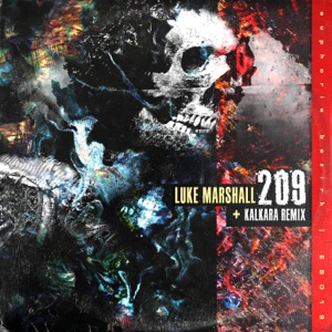 209 - Single