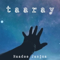 taaray - Single - Haadee Janjua