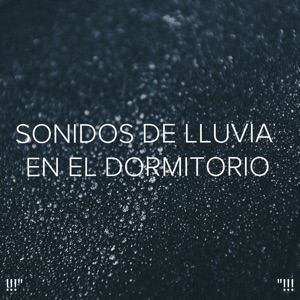 !!!" Sonidos De Lluvia En El Dormitorio"!!!