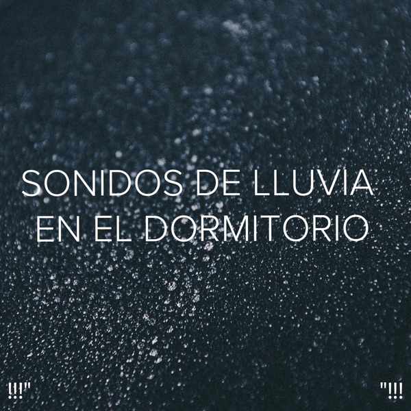 !!!" Sonidos De Lluvia En El Dormitorio"!!!