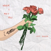 When I Met You - Single - Liam Burger